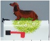 Red Longhhaired Dachshund Mailbox