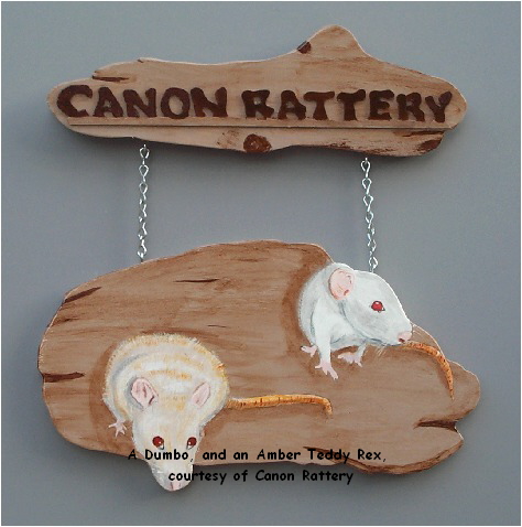 A Dumbo, and an Amber Teddy Rex, 

courtesy of Canon Rattery
