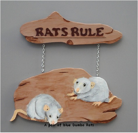 A pair of blue Dumbo Rats